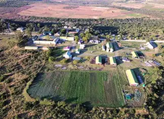 Fort Cox: SA’s first agricultural college to offer forestry course