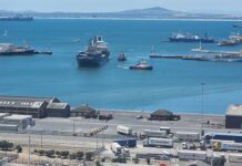 New gantry cranes boost Port of Cape Town’s performance