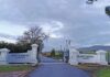 Lessons from SA’s first regenerative verified wine farm