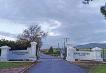 Lessons from SA’s first regenerative verified wine farm