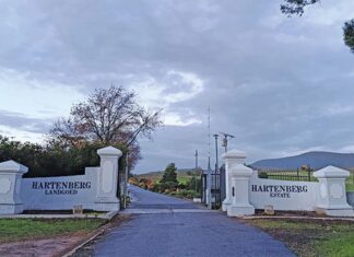Lessons from SA’s first regenerative verified wine farm