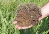 Soil health key to resilient, profitable farming soil health
