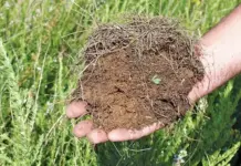 Soil health key to resilient, profitable farming soil health