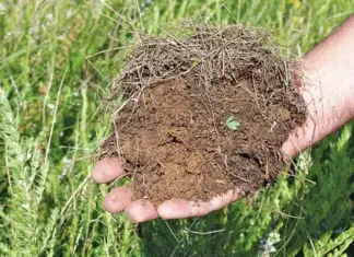 soil health