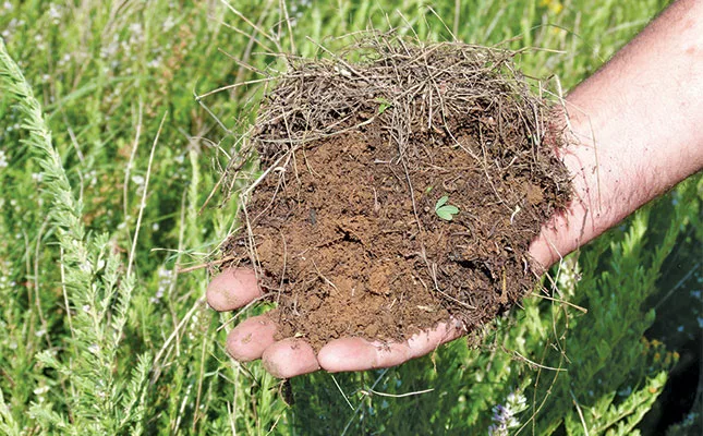 soil health
