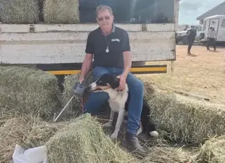 Bloodlines, training, and trust: the story of a top sheepdog