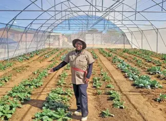 Strategic partnership turns a rubbish heap into a vegetable harvest