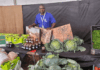 Mpumalanga Show to help small-scale farmers supply fresh produce market
