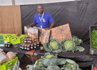 Mpumalanga Show to help small-scale farmers supply fresh produce market