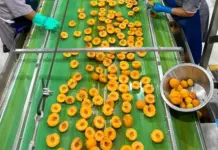 Global canning industry grapples with climate and market pressure