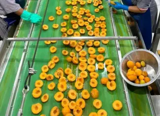 Global canning industry grapples with climate and market pressure