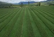 Orizon helps farmers make the move to regenerative agriculture