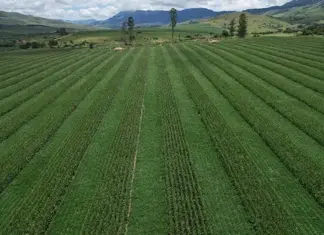Orizon helps farmers make the move to regenerative agriculture
