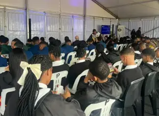 Nampo Cape school programme showcases agri opportunities for learners