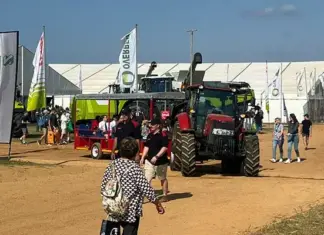 Nampo Cape 2025 provides hope amid tough times for Western Cape farmers nampo cape 2025