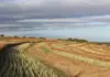 AgriSETA funding applications close on 15 September