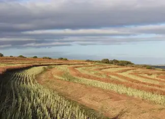 AgriSETA funding applications close on 15 September