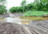 KZN farmers face mounting hardship after enduring R65m in flood damages flood damage kwazulu-natal