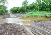 KZN farmers face mounting hardship after enduring R65m in flood damages flood damage kwazulu-natal