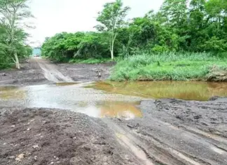flood damage kwazulu-natal