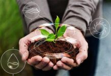 We’re only food secure when farmers are profitable
