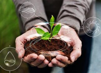 We’re only food secure when farmers are profitable