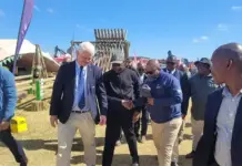 Mashatile pledges government support for agriculture at Nampo Cape Dr Tobias Doyer, CEO of Grain SA (left), accompanied South Africa’s Deputy President Paul Mashatile (middle) on a walkabout of Nampo Cape with Dr Mogale Sebopetsa, the head of the Western Cape Department of Agriculture.