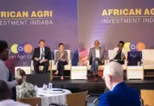 Your farm, Africa’s future: building a self-sufficient continent