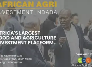 Agro-industrial parks in focus as Africa eyes agricultural growth