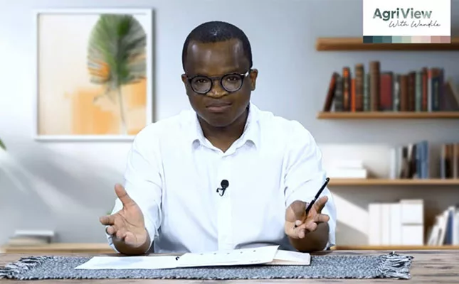 Understanding SA’s uneven agricultural recovery – EP 20