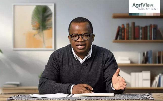 From seed to harvest: what awaits this season? – EP 19