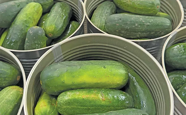 SA’s favourite relishes produced in the heart of the Letsitele Valley
