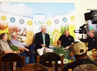 Collaboration in focus during Nampo Alfa 2025 panel discussion