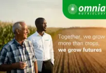 Growing futures, together: Omnia’s commitment to South African agriculture