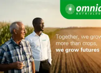Growing futures, together: Omnia’s commitment to South African agriculture