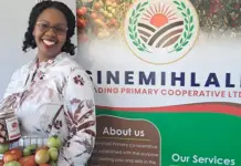 Lessons from a small-scale tomato farmer and agro-processor