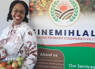 Lessons from a small-scale tomato farmer and agro-processor