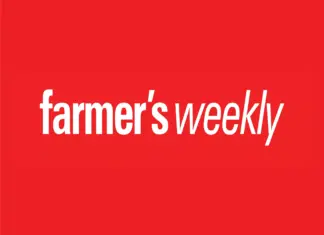Zuma urged to deliver clear policy direction on jobs, land reform