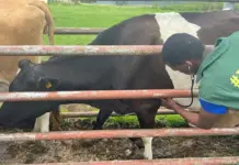Study Animal Health at TARDI