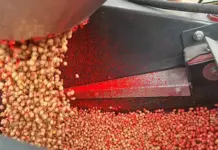 New seed treatment application option available to soya bean farmers