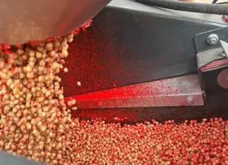 New seed treatment application option available to soya bean farmers