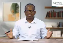 New China trade protocol for SA stone fruit – EP 23