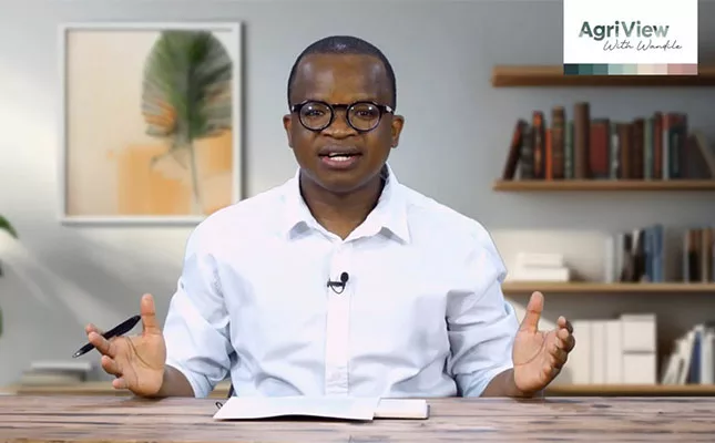 New China trade protocol for SA stone fruit – EP 23