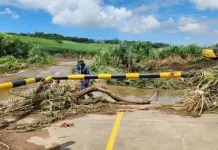 Farmers urged to prepare for La Niña conditions