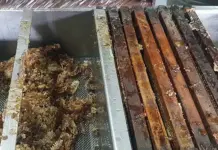 From hive to jar: turning raw honey into liquid gold Wax removal from honey