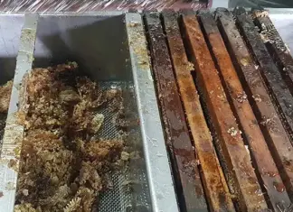 From hive to jar: turning raw honey into liquid gold Wax removal from honey