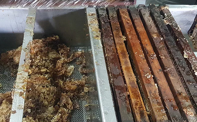 From hive to jar: turning raw honey into liquid gold Wax removal from honey