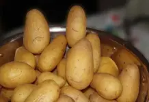 Quality food, not empty calories, is key to solving food insecurity