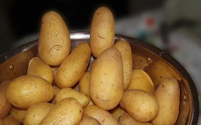 Quality food, not empty calories, is key to solving food insecurity