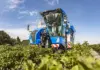 New Holland unveils the Braud 8.50L for faster, gentler grape harvesting